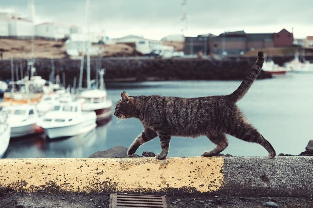 Excursion sur la Méditerranée