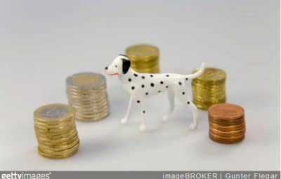 adopter-chien-quel-budget-soins-alimentation-accessoires