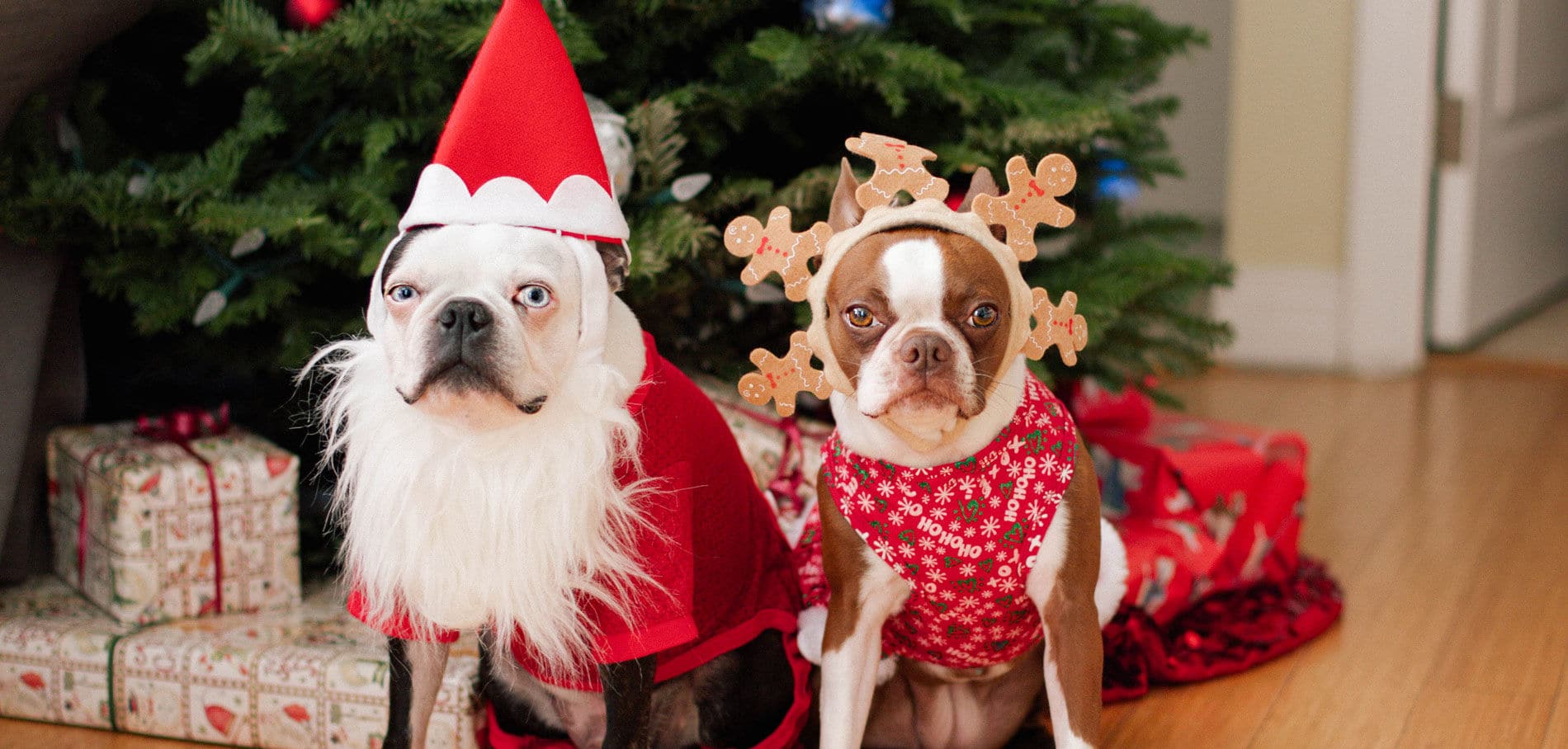 Noël en famille : allez hop, on se déguise tous pour fêter Noël !