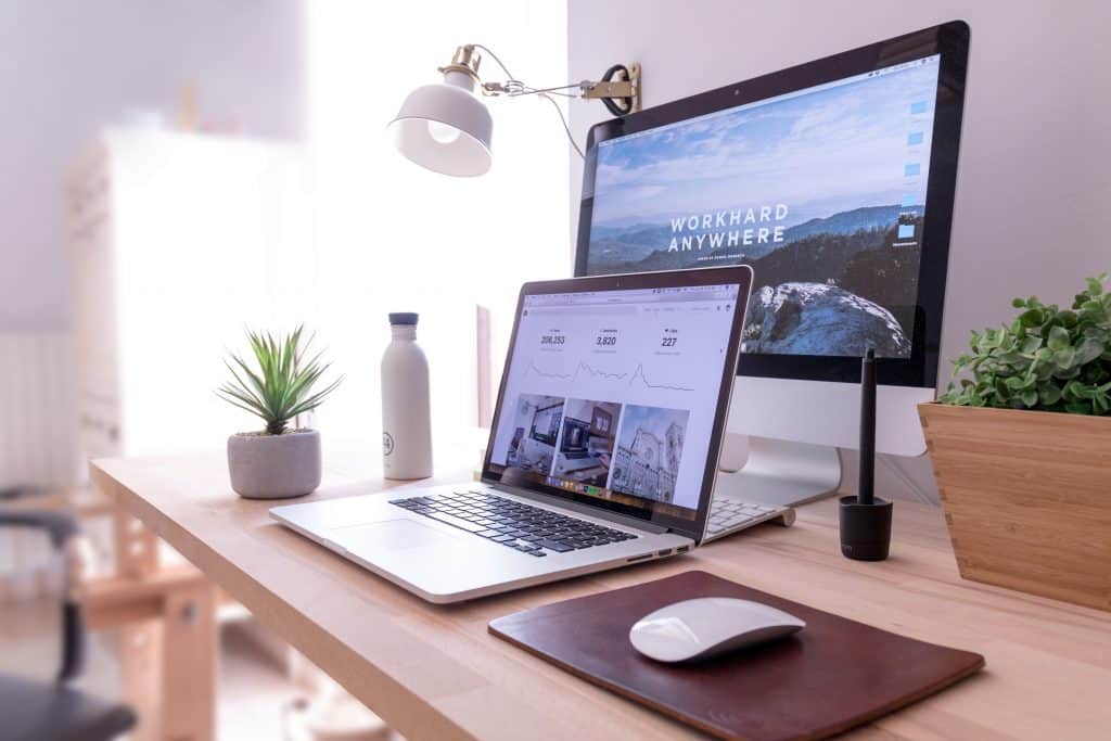 Bureau plantes