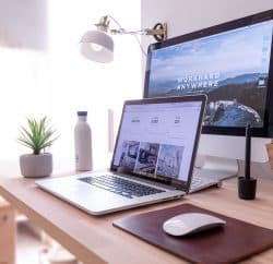 Bureau plantes