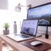 Bureau plantes